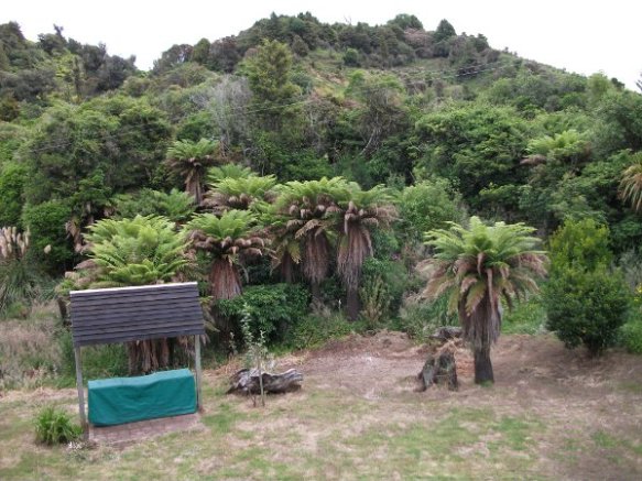 View from my window 002