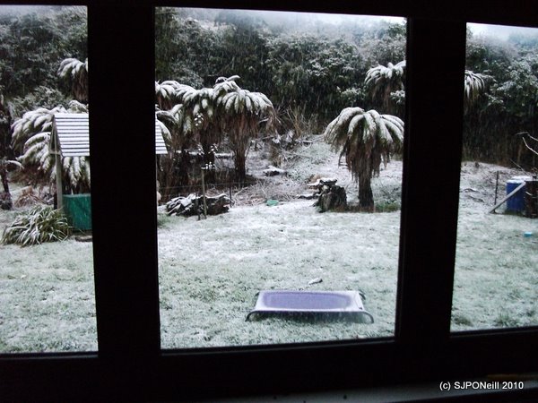 Winter's first snow 001