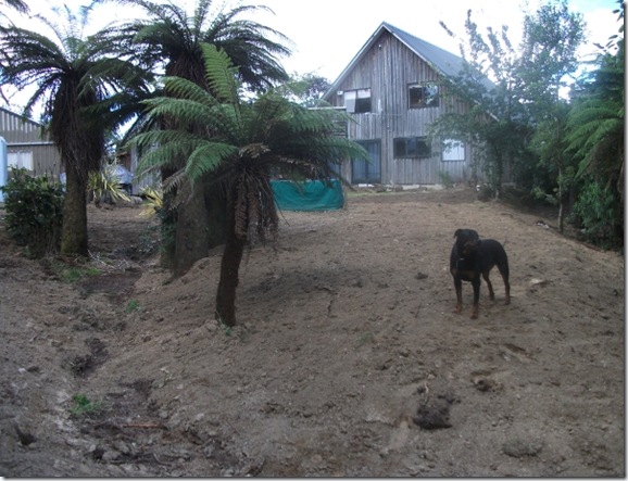 Raurimu renovations 009