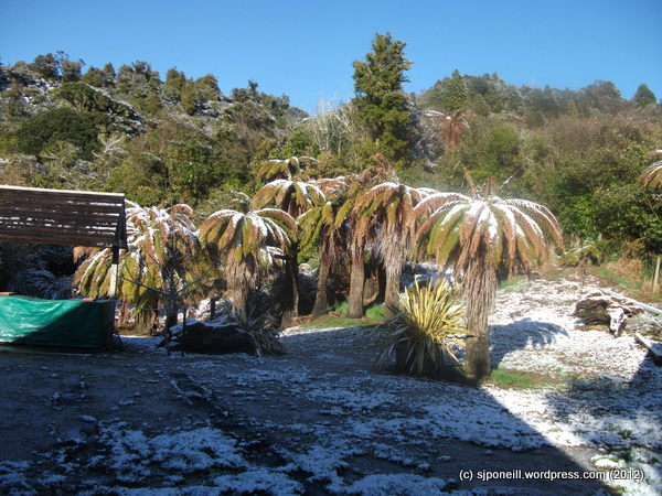 Raurimu 12-09-2012 8-23-26 a.m.