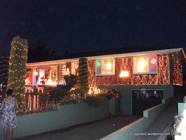 Oamaru Christmas Light House 002