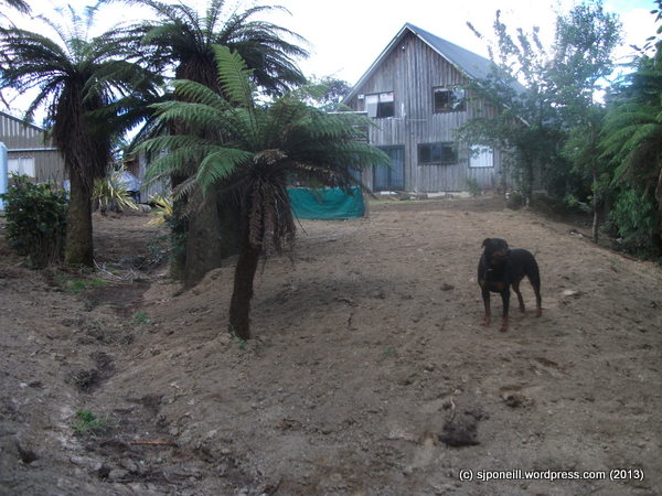 Raurimu renovations 009