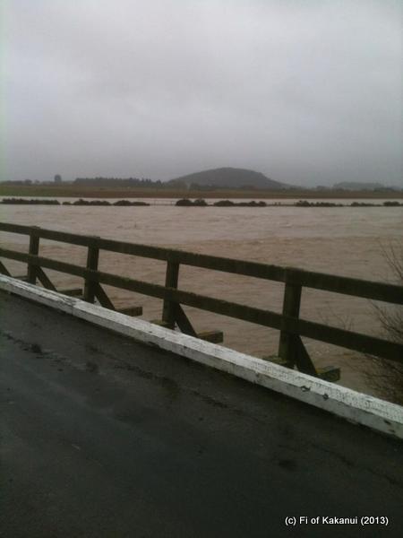 1002087_10200719697107938_1452640130_n