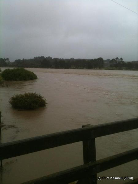 1017577_10200719697467947_1082976972_n