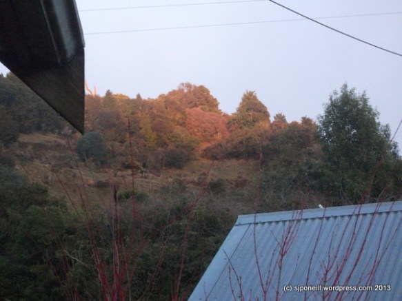 Golden Hour - Morning-003