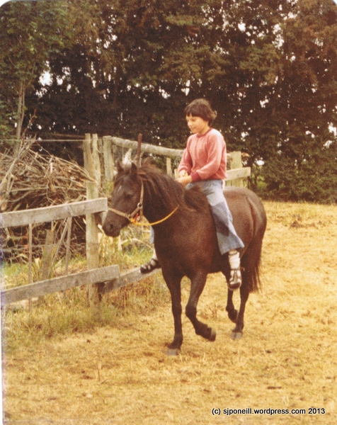 Marcus on Rajah at Waikouaiiti