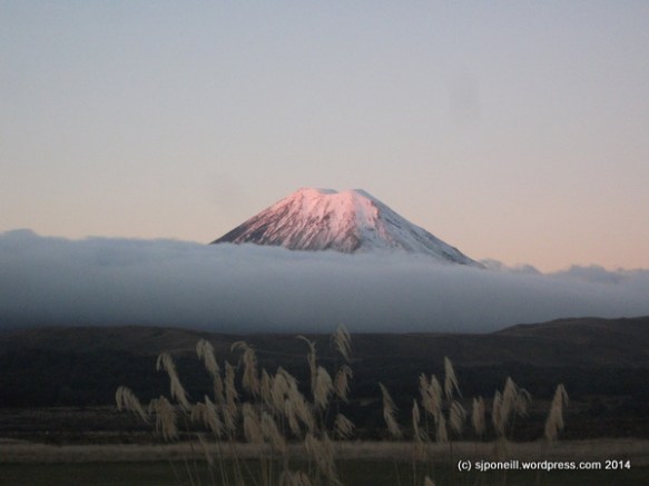 Mt Ngauruhoe under the setting sun...