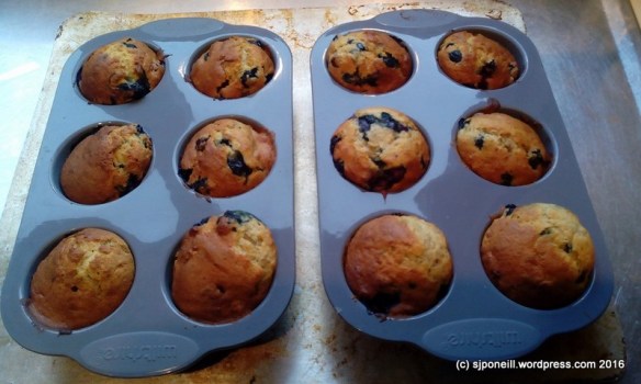 13133366_10209286083372252_814816169438660295_n (1).jpg