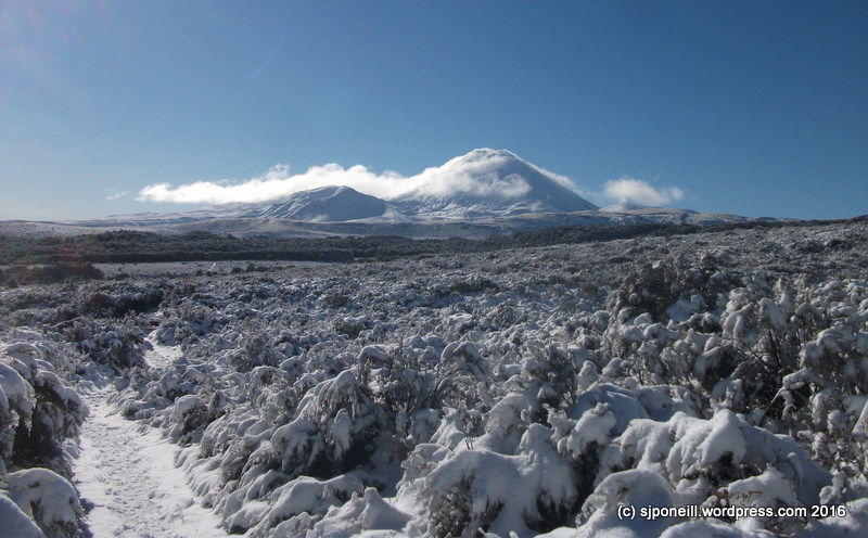 Whakapapa-005